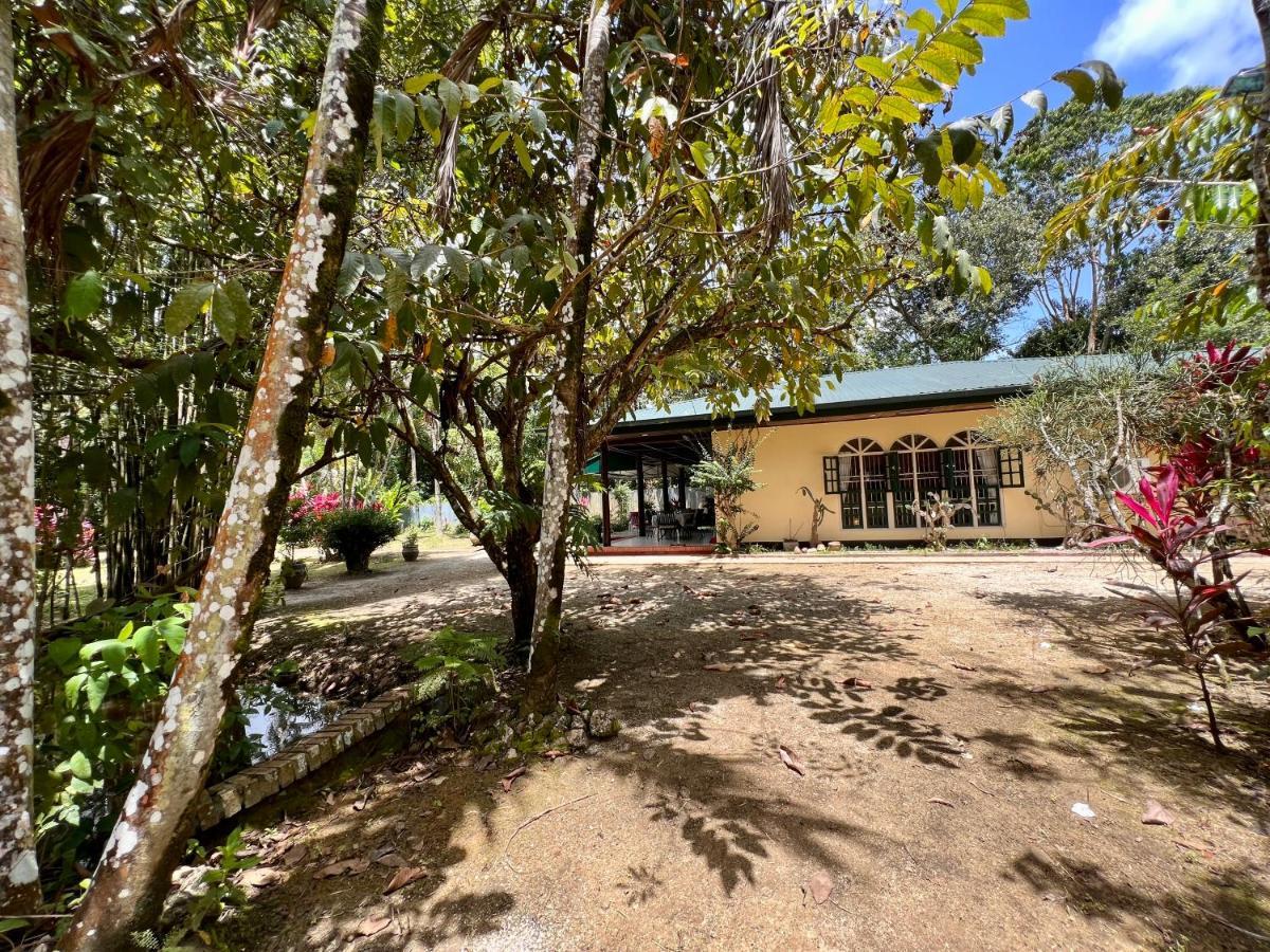 Akka Villa Meerzorg Luaran gambar